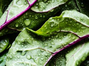 Nutrizione 1 - fondamenti - corso di naturopatia SIMO