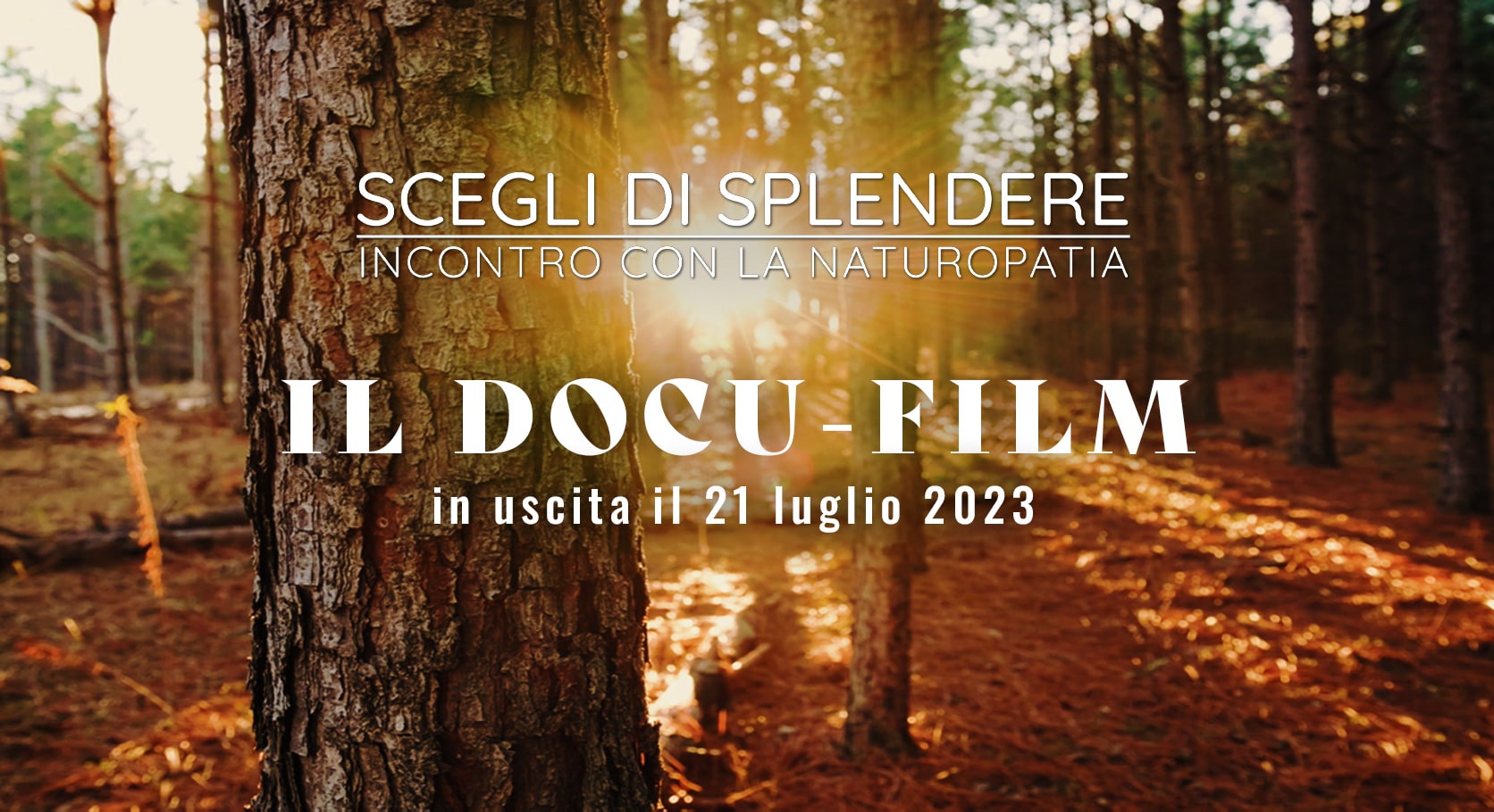 il film scegli di splendere