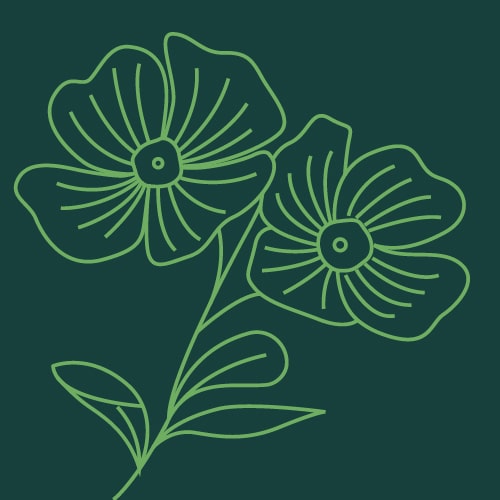 fiori-di-bach-test-kinesiologico-milano-scuola-simo-min