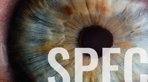 Specializzazione Iridologia - Scuola di Naturopatia SIMO